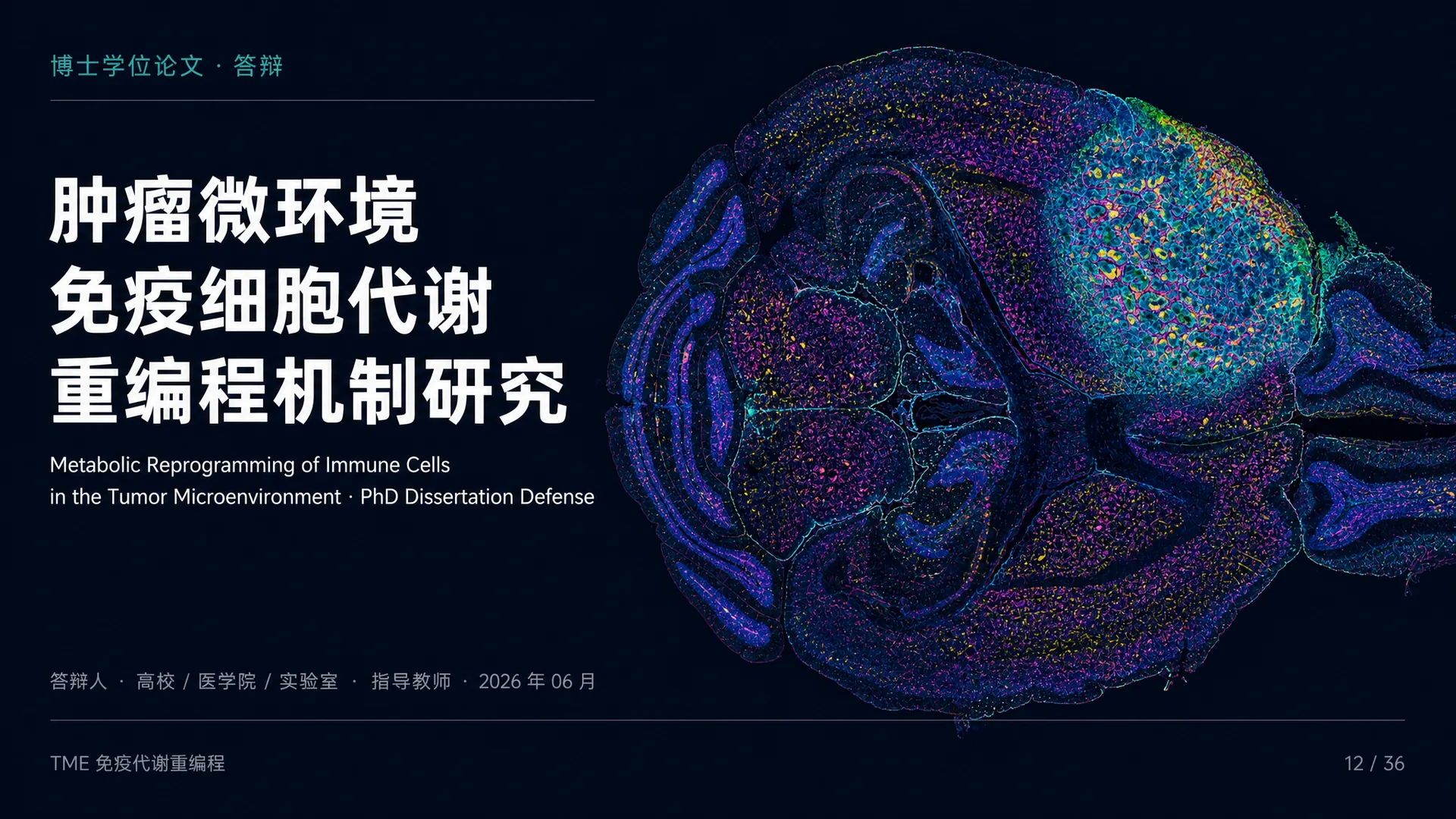 学术汇报方案