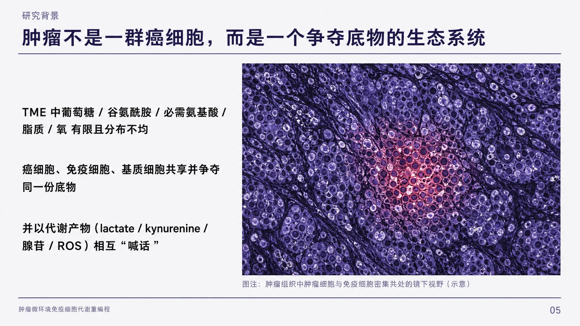 真实素材融合